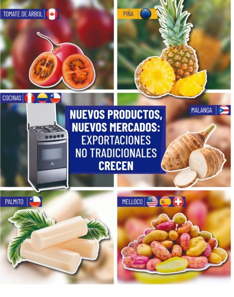 WhatsApp-Image-2025-09-20-at-09.42.29-1-808x1024 NUEVOS PRODUCTOS NUEVOS MERCADOS