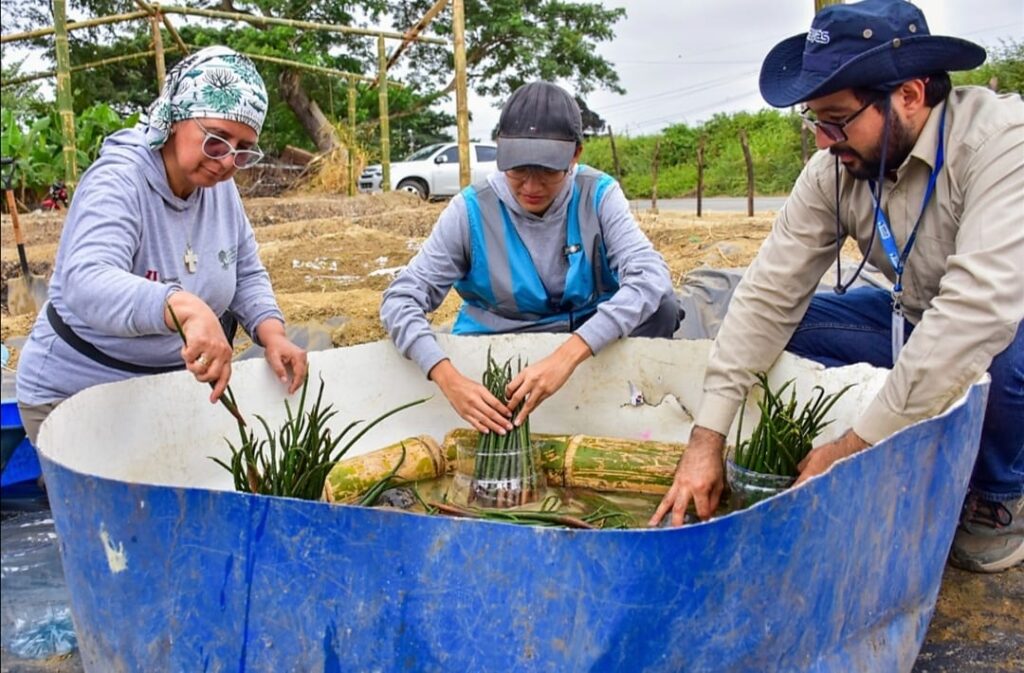 WhatsApp-Image-2025-10-20-at-19.16.52-1-1024x673 RESTAURACIÓN DE 30 HECTÁREAS DE MANGLAR