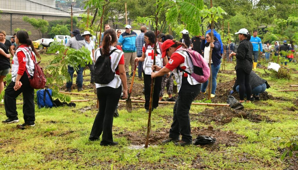 WhatsApp-Image-2026-02-08-at-10.46.13-1-1024x586 Guayaquil Apuesta Por La Ciudad Que Respira.