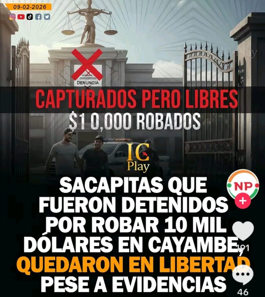 WhatsApp-Image-2026-02-09-at-18.27.46-1-914x1024 Robaron 10,000 Dólares y Quedaron En Libertad.