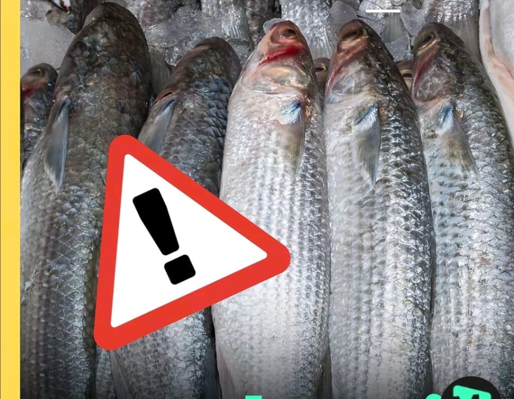 WhatsApp-Image-2026-02-10-at-17.04.18-1-1024x795 Mucho Ojo Con La Lisa En Ecuador