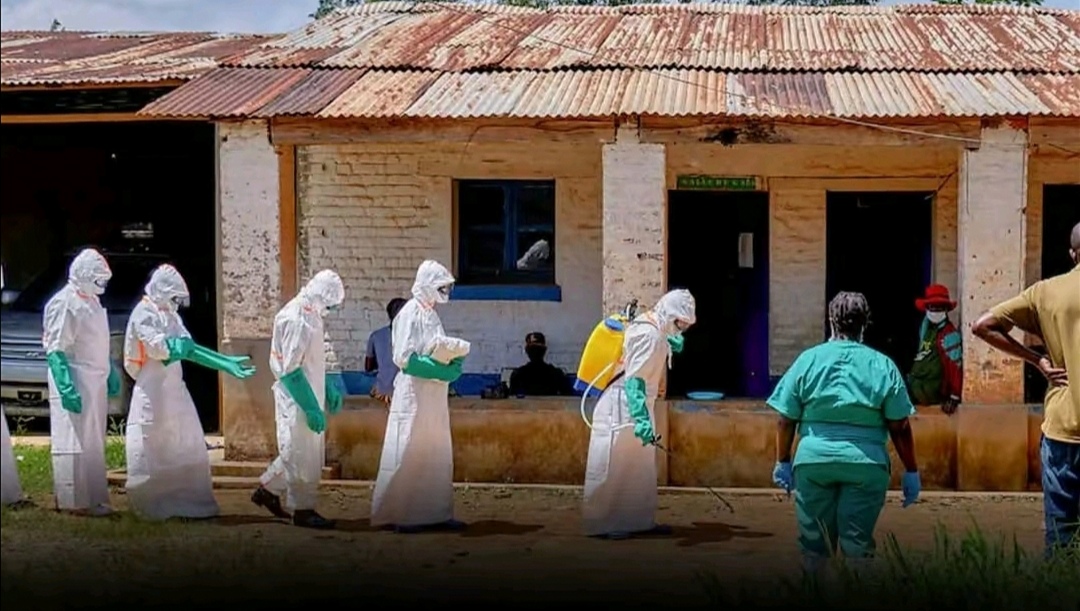 OMS Admite Epidemia Del Ebola
