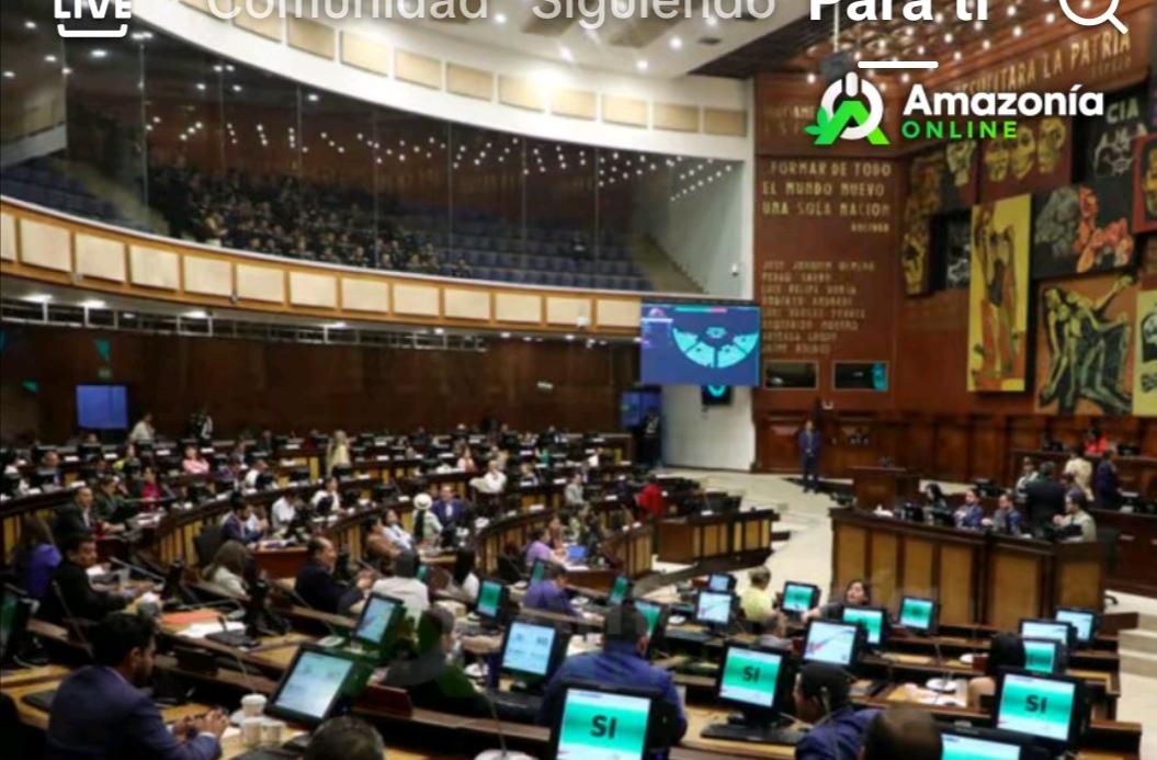 INVESTIGAR PATRIMONIOS