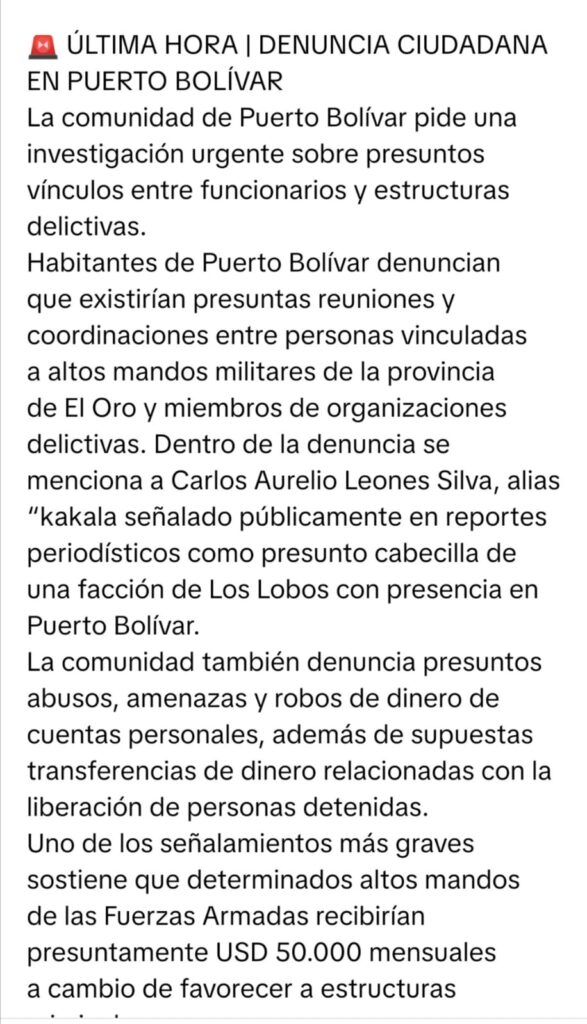 WhatsApp-Image-2026-09-20-at-08.51.58-587x1024 LOS LOBOS ESPEJOS