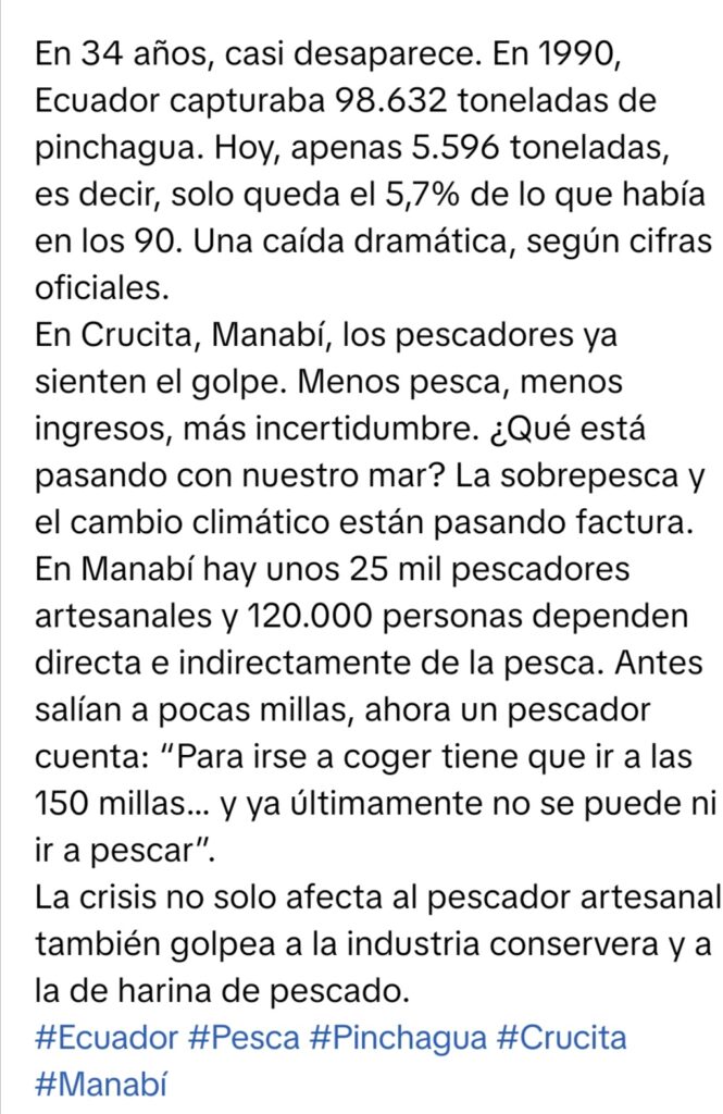 WhatsApp-Image-2026-09-28-at-07.23.39-665x1024 SE ACABA LA PINCHAGUA