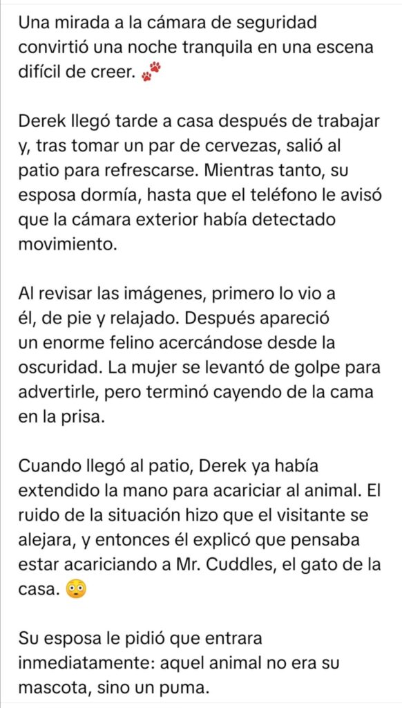 WhatsApp-Image-2026-10-10-at-09.30.50-582x1024 CREIA SU GATO DOMESTICO