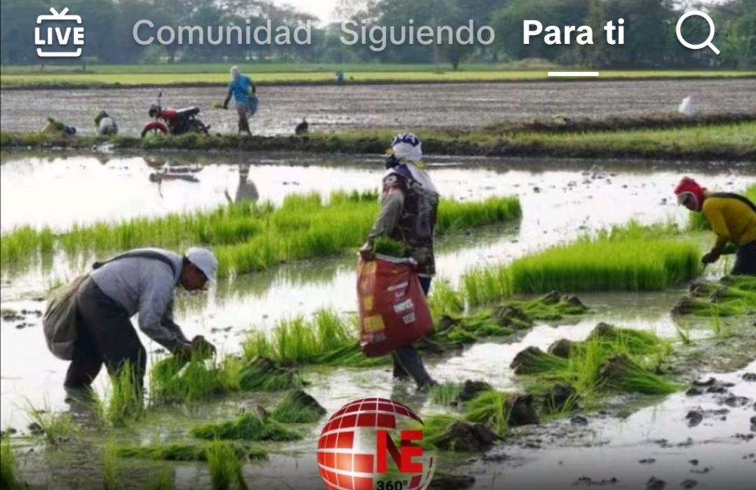24,55 MILLONES AL SEGURO AGRICOLA